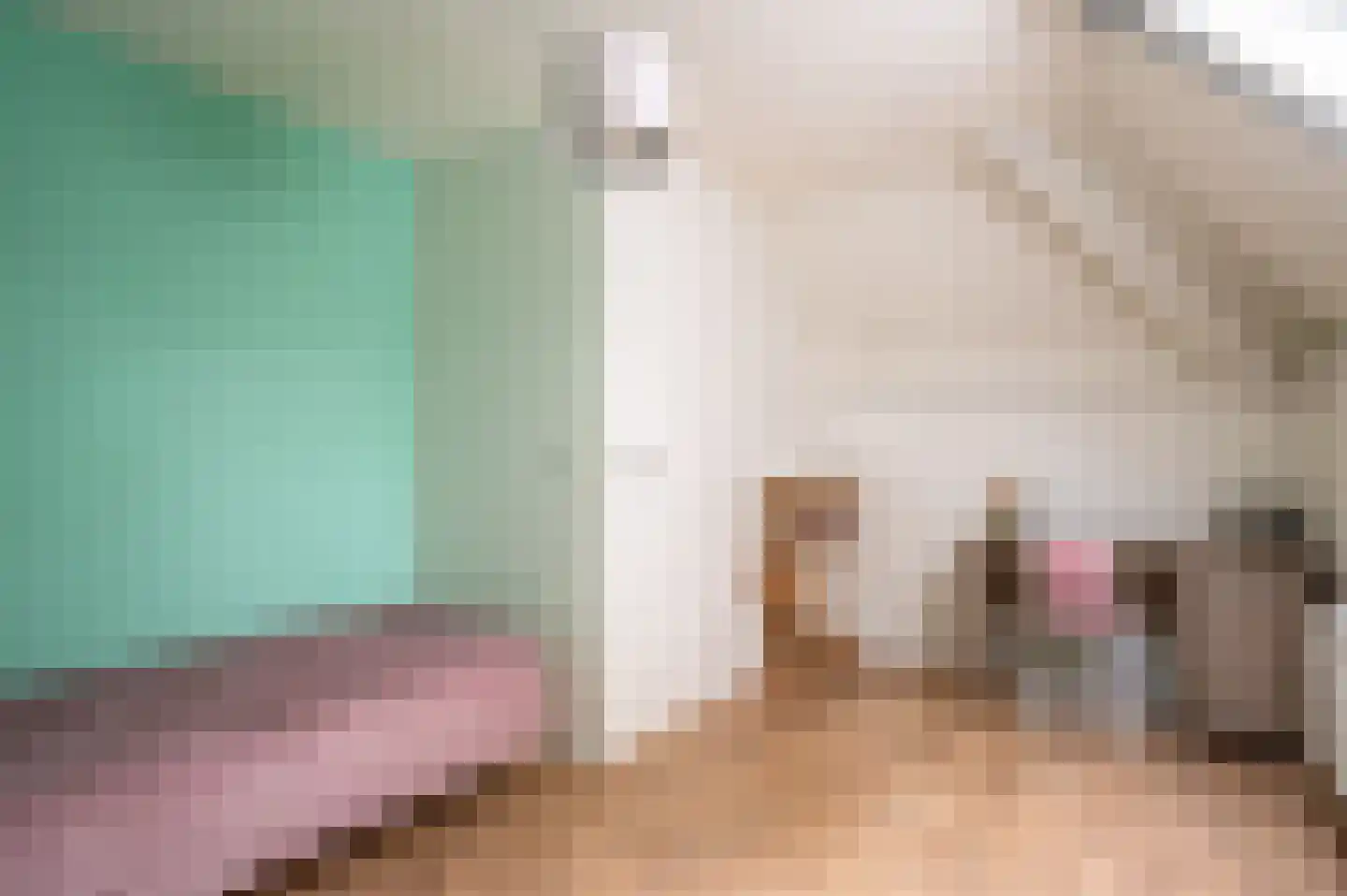 Zuides 34 Ruinen thumbnail 26