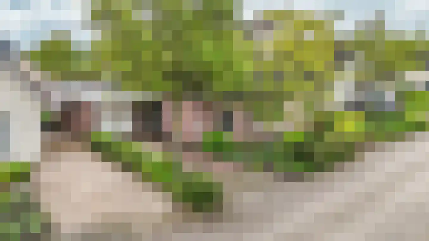 Zuides 34 Ruinen thumbnail 42