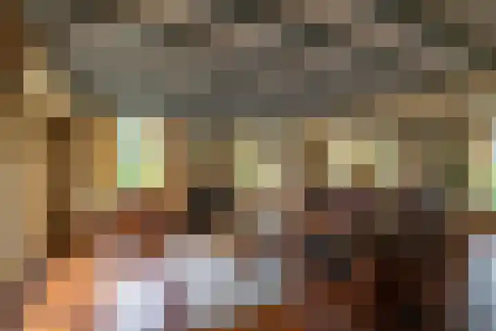 Zuidesch 4 Lieveren thumbnail 11