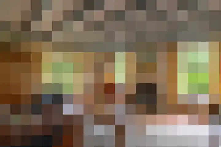 Zuidesch 4 Lieveren thumbnail 12