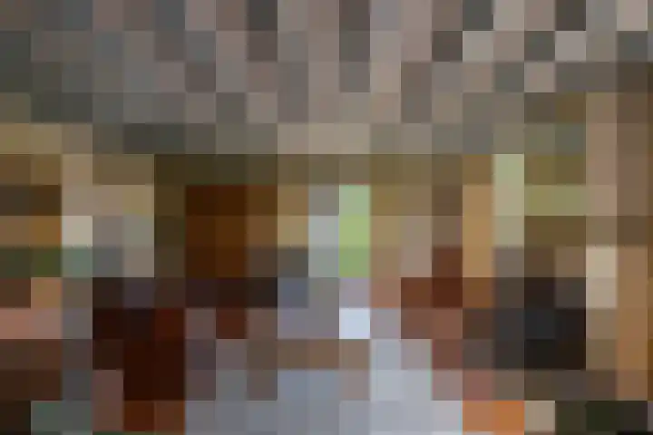 Zuidesch 4 Lieveren thumbnail 13