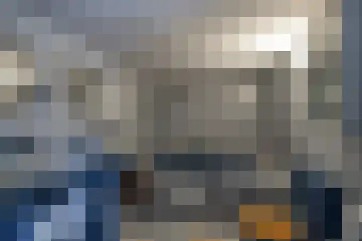 Zuidesch 4 Lieveren thumbnail 14