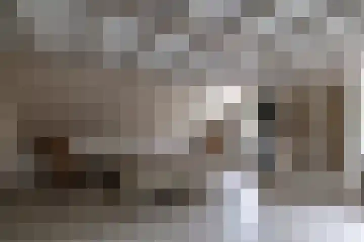 Zuidesch 4 Lieveren thumbnail 16
