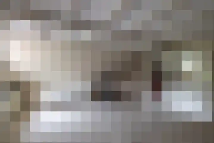 Zuidesch 4 Lieveren thumbnail 17