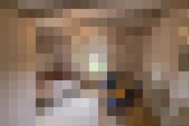 Zuidesch 4 Lieveren thumbnail 18
