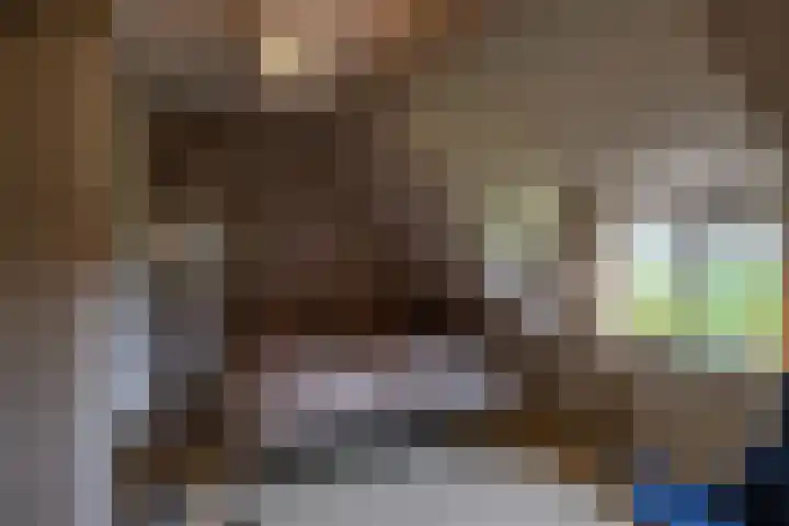 Zuidesch 4 Lieveren thumbnail 19