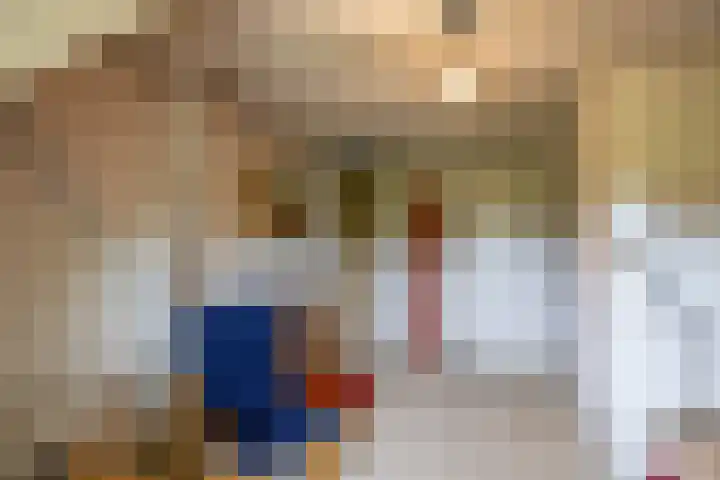 Zuidesch 4 Lieveren thumbnail 20