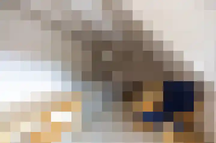 Zuidesch 4 Lieveren thumbnail 21