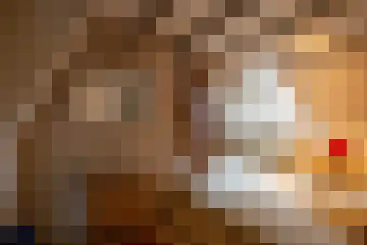 Zuidesch 4 Lieveren thumbnail 22