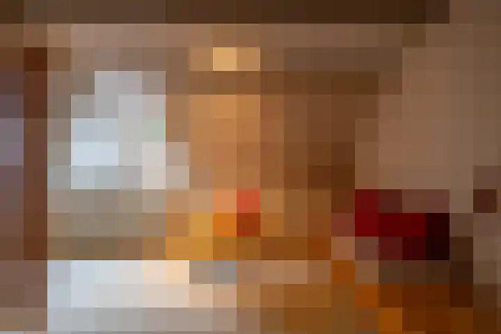Zuidesch 4 Lieveren thumbnail 23