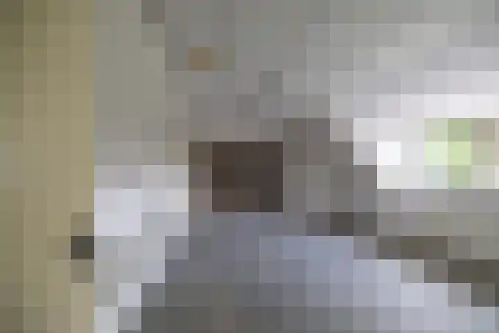 Zuidesch 4 Lieveren thumbnail 24