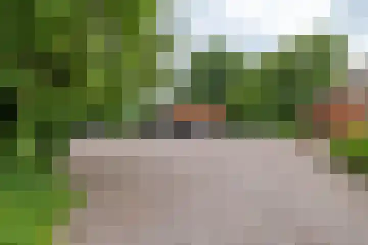 Zuidesch 4 Lieveren thumbnail 27