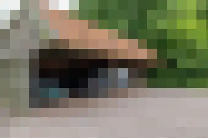 Zuidesch 4 Lieveren thumbnail 28