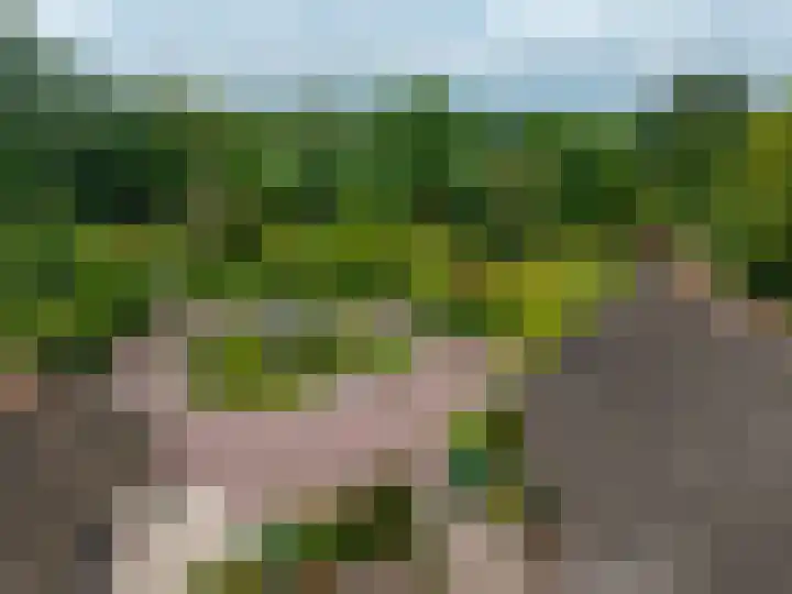 Zuidesch 4 Lieveren thumbnail 31