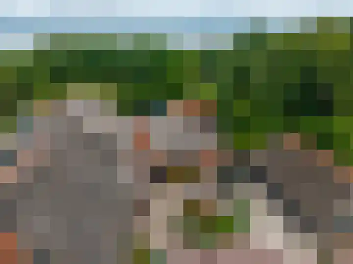 Zuidesch 4 Lieveren thumbnail 32