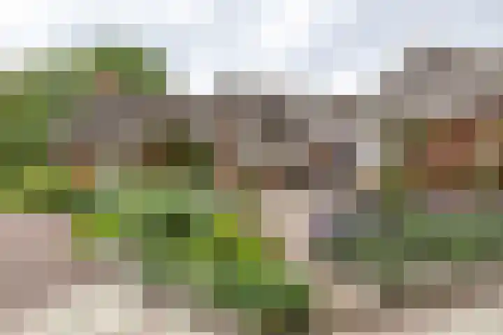 Zuidesch 4 Lieveren thumbnail 33