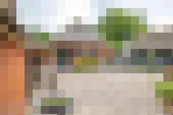 Zuidesch 4 Lieveren thumbnail 34