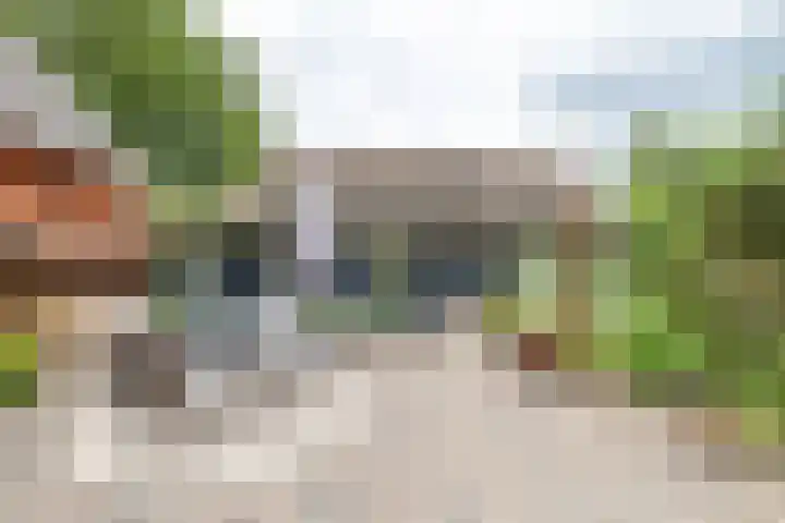 Zuidesch 4 Lieveren thumbnail 36