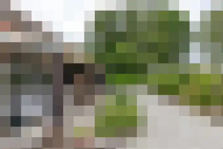 Zuidesch 4 Lieveren thumbnail 38