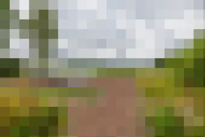 Zuidesch 4 Lieveren thumbnail 39