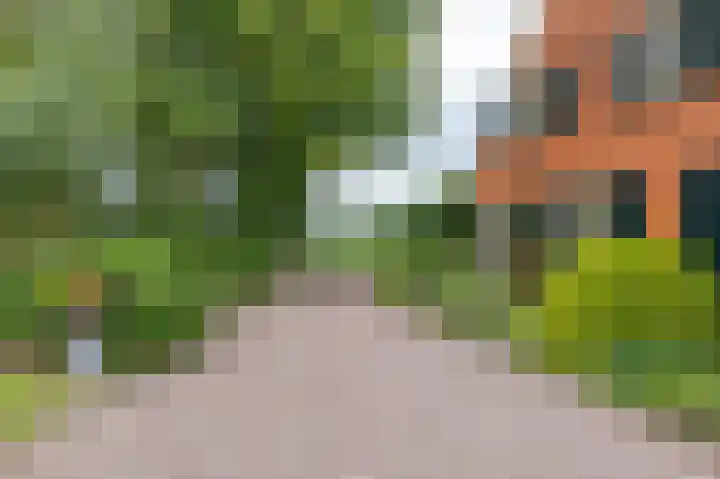 Zuidesch 4 Lieveren thumbnail 4