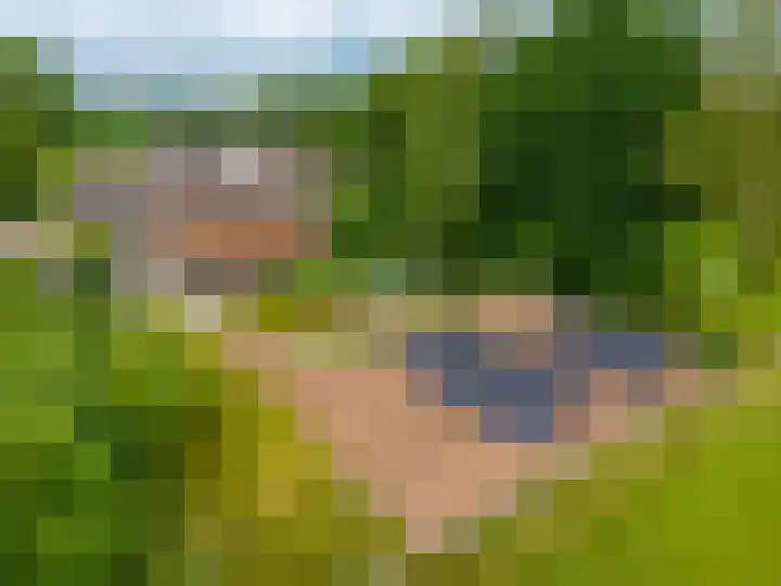 Zuidesch 4 Lieveren thumbnail 40