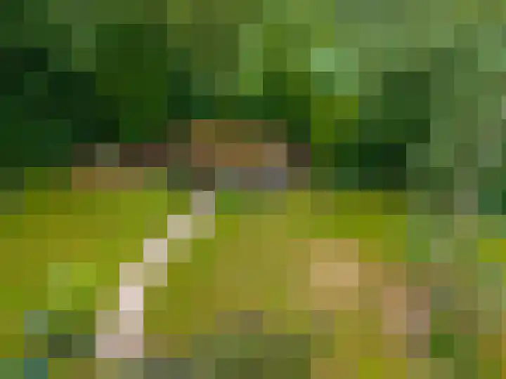 Zuidesch 4 Lieveren thumbnail 42
