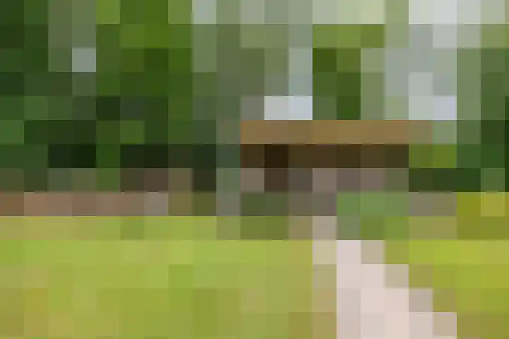 Zuidesch 4 Lieveren thumbnail 45