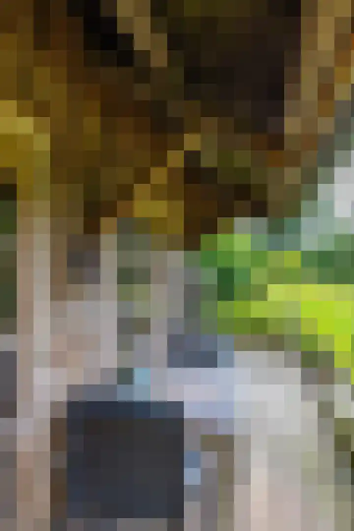 Zuidesch 4 Lieveren thumbnail 46