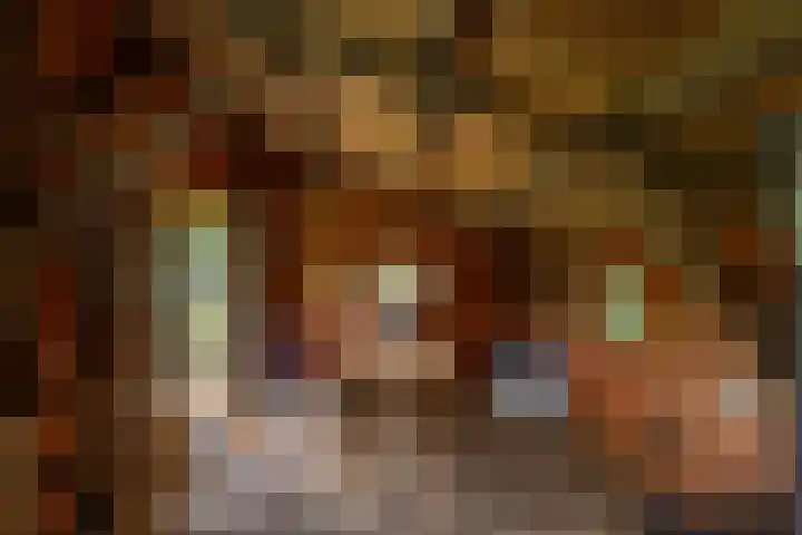 Zuidesch 4 Lieveren thumbnail 48
