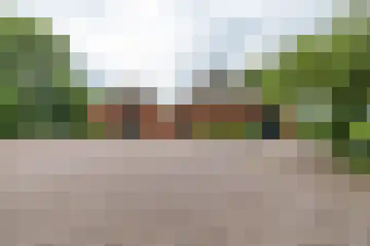 Zuidesch 4 Lieveren thumbnail 51