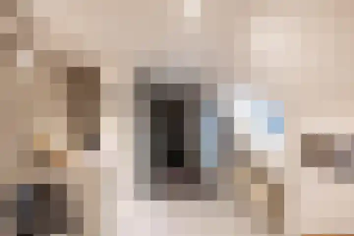Zuidesch 4 Lieveren thumbnail 52