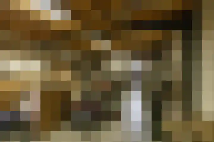 Zuidesch 4 Lieveren thumbnail 53