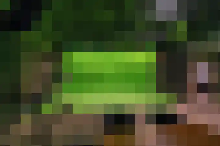 Zuidesch 4 Lieveren thumbnail 55