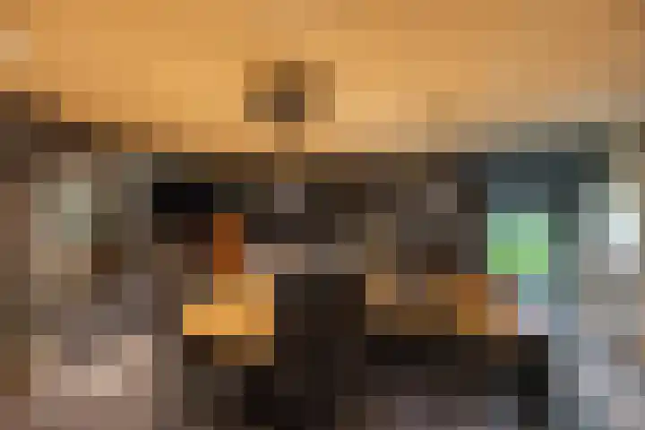 Zuidesch 4 Lieveren thumbnail 56