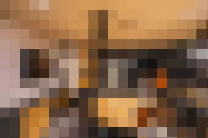 Zuidesch 4 Lieveren thumbnail 57