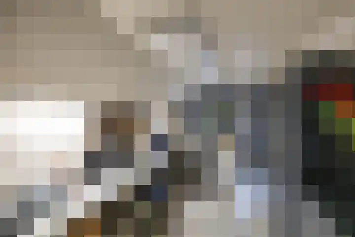 Zuidesch 4 Lieveren thumbnail 58