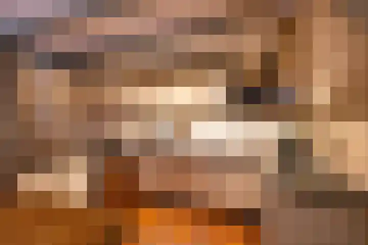 Zuidesch 4 Lieveren thumbnail 6