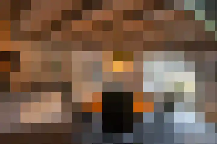 Zuidesch 4 Lieveren thumbnail 62