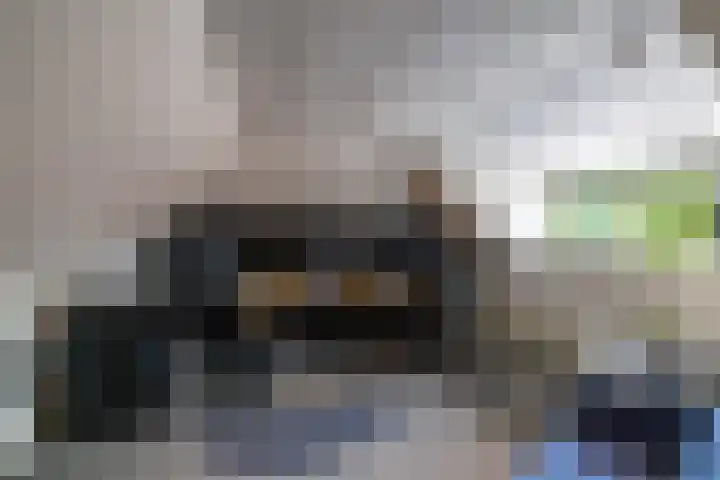 Zuidesch 4 Lieveren thumbnail 64
