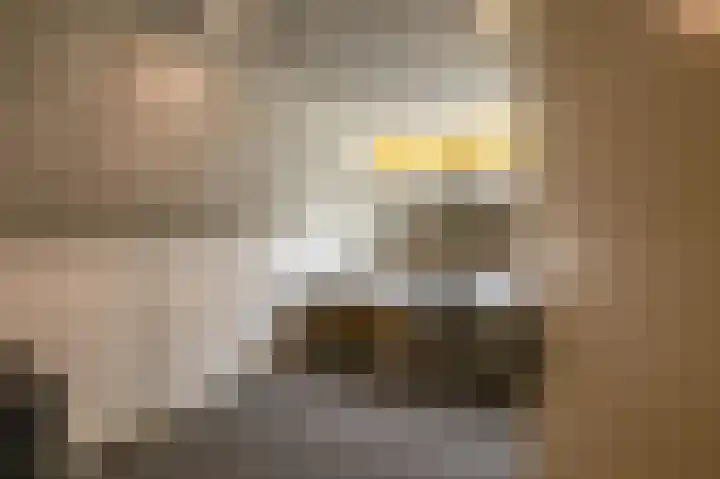 Zuidesch 4 Lieveren thumbnail 65