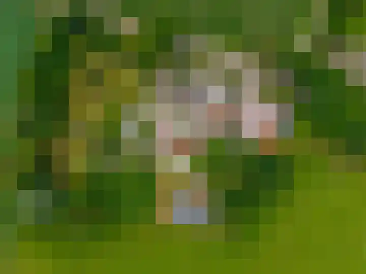 Zuidesch 4 Lieveren thumbnail 68