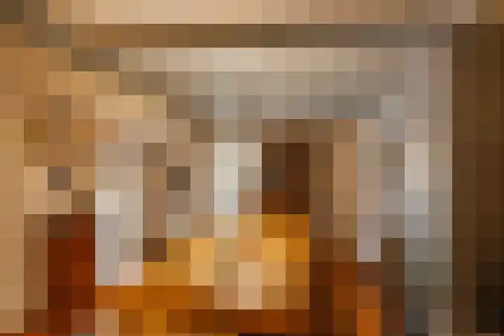 Zuidesch 4 Lieveren thumbnail 7