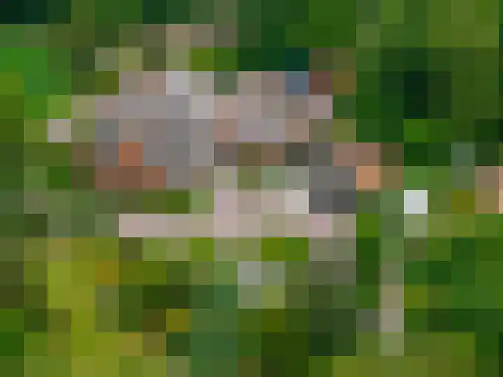 Zuidesch 4 Lieveren thumbnail 78