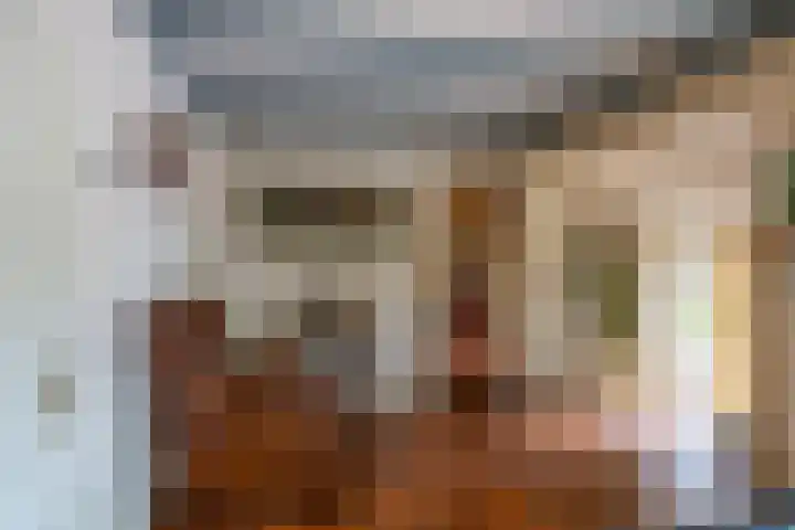 Zuidesch 4 Lieveren thumbnail 8