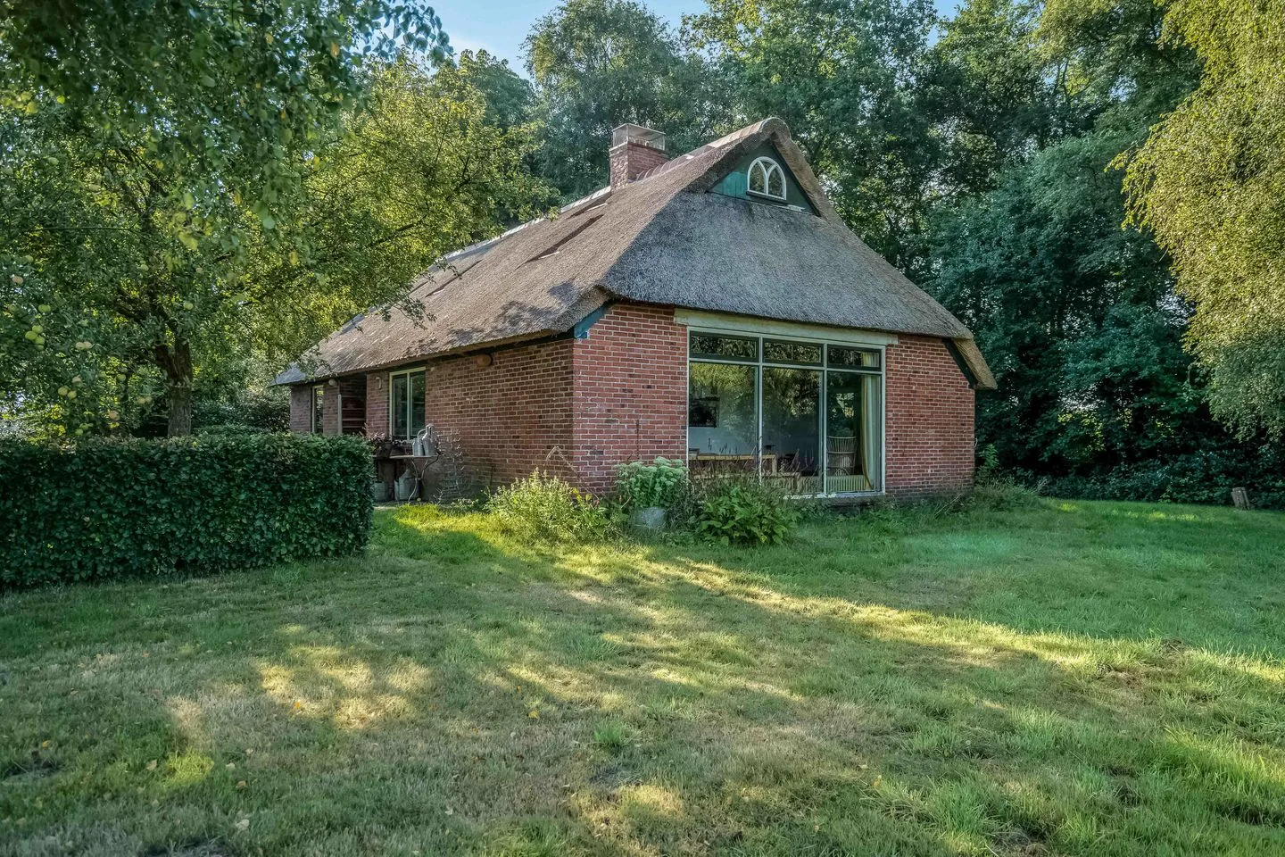 Zuidesch 5 Lieveren foto 2