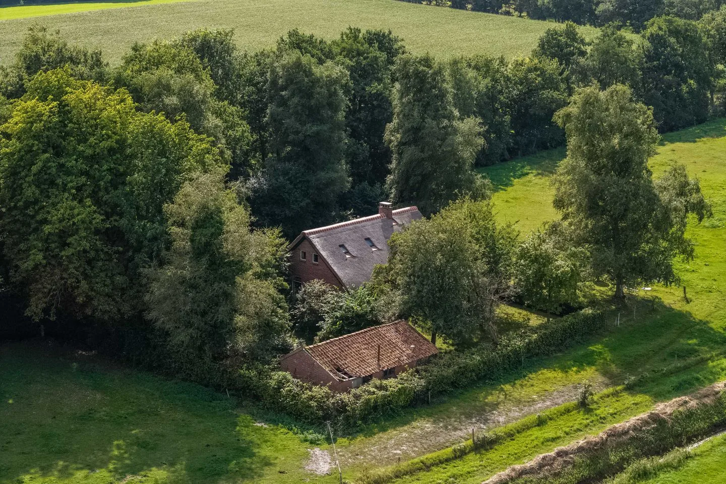 Zuidesch 5 Lieveren foto 3