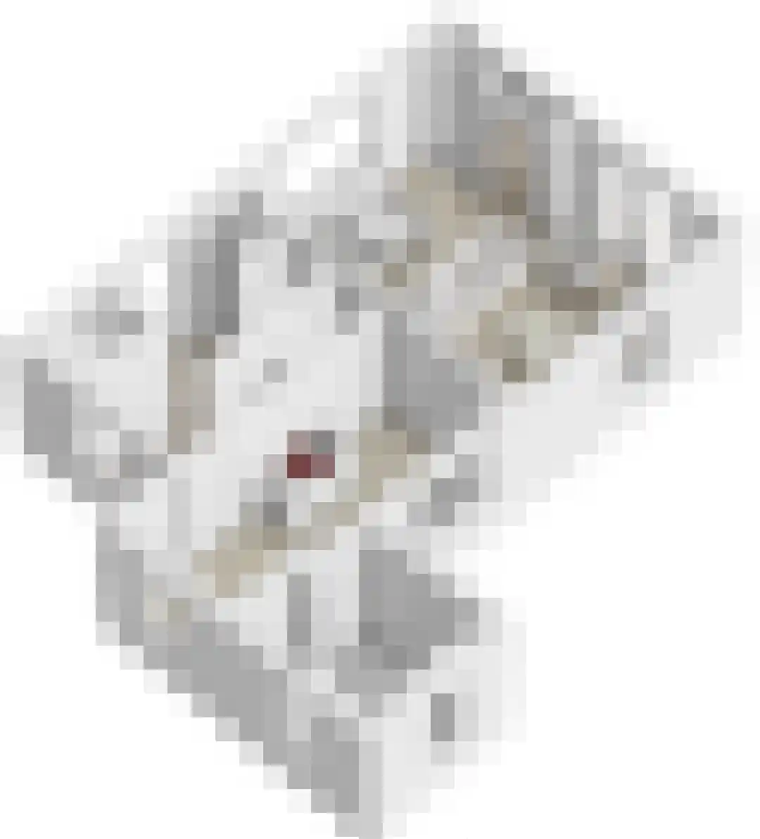 Zuideveldlaan 16 Dussen thumbnail 33