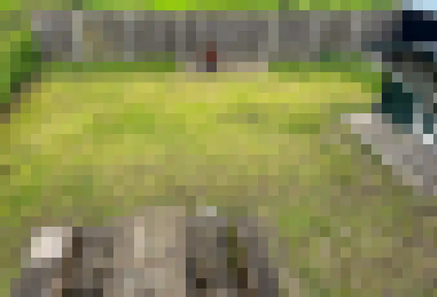 Zuideveldlaan 16 Dussen thumbnail 4