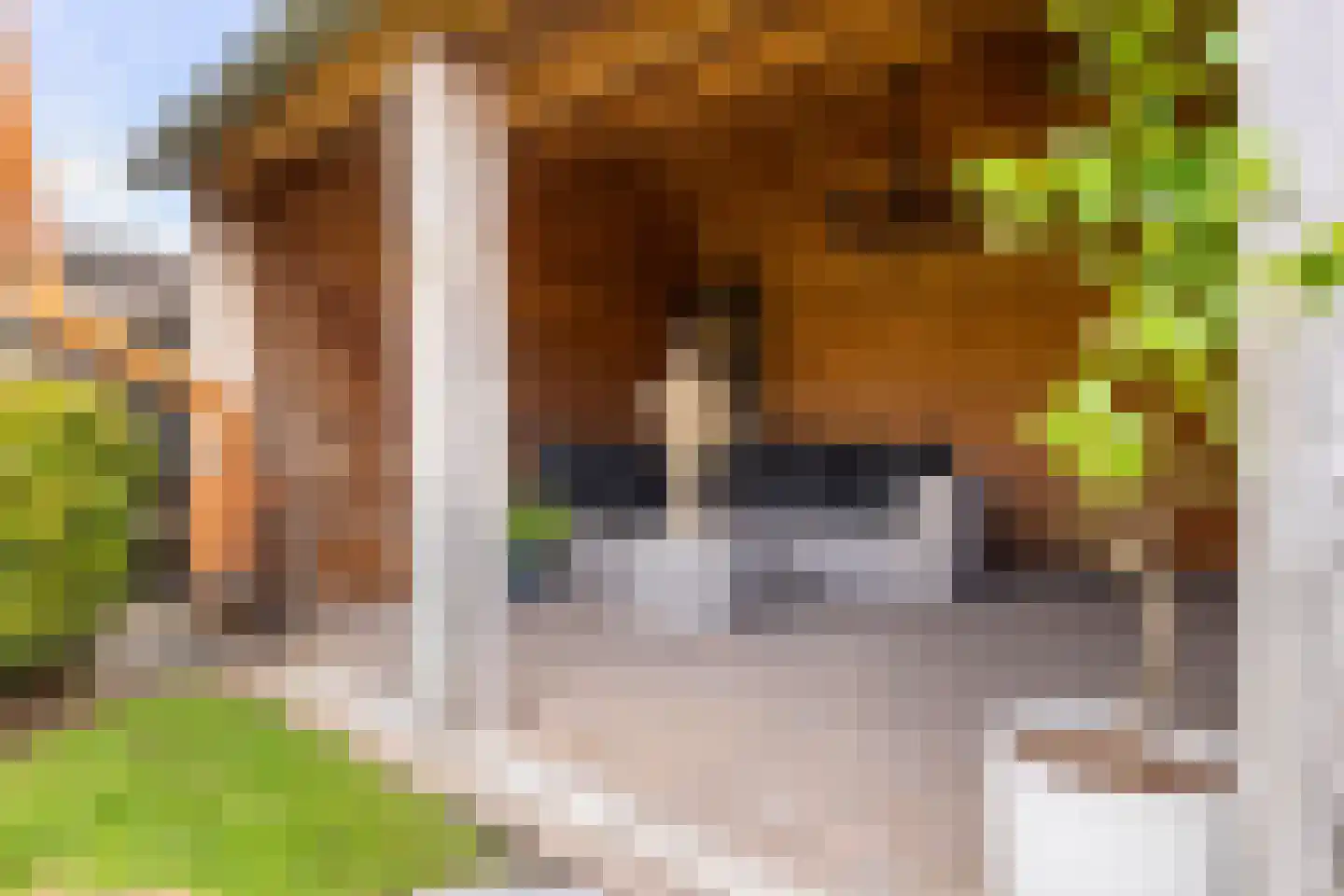 Zuideveldlaan 25 Dussen thumbnail 37